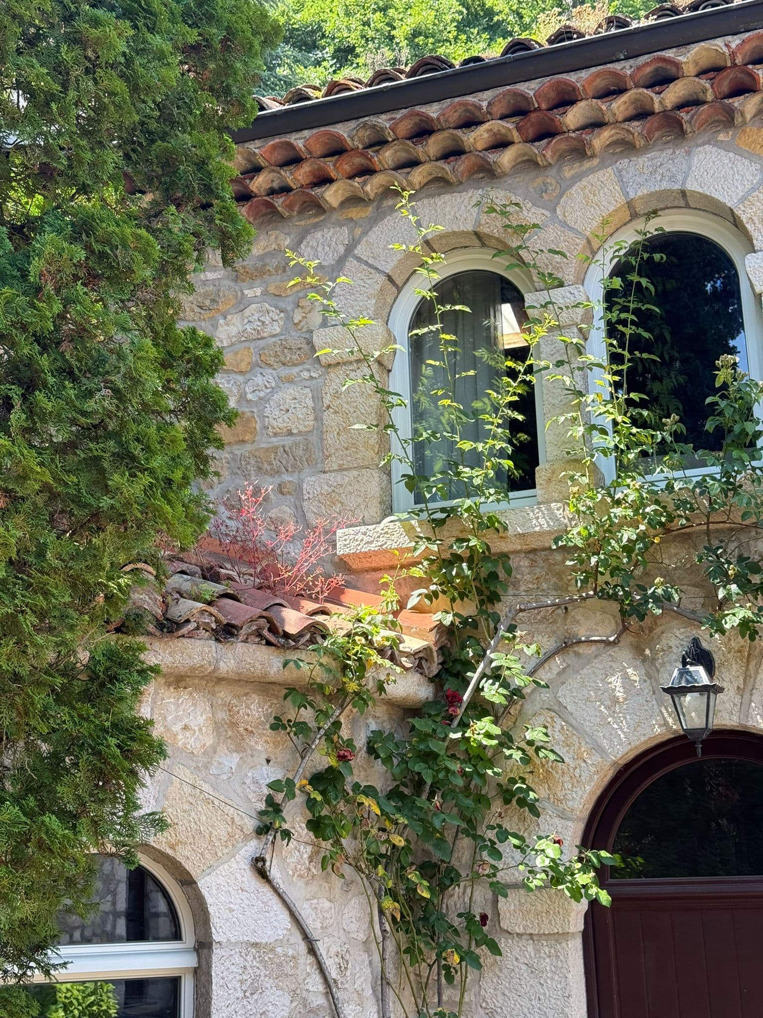 Gallery Image 42