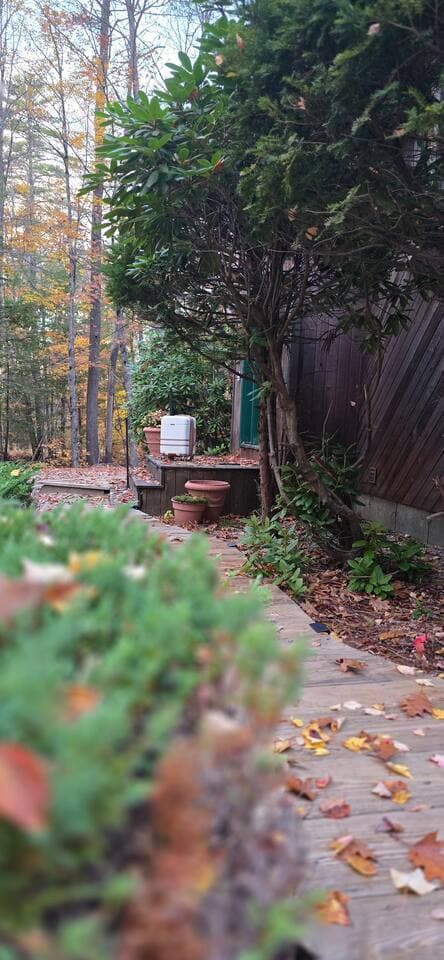Gallery Image 55