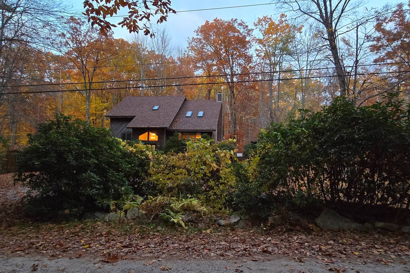 Gallery Image 56