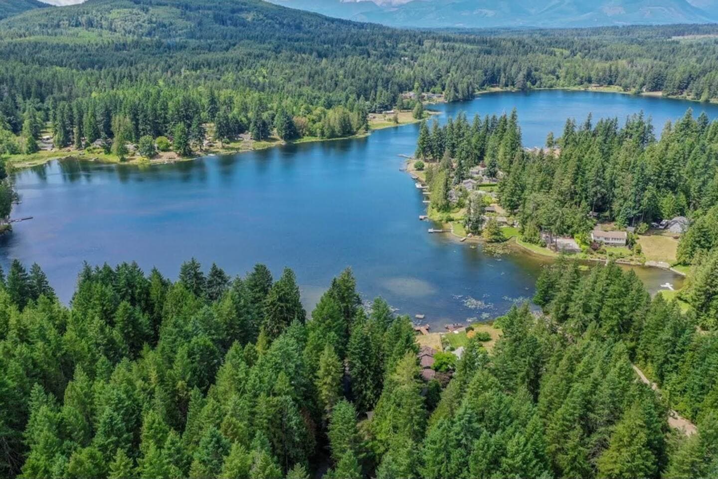 View of Wildcat Lake from the air.