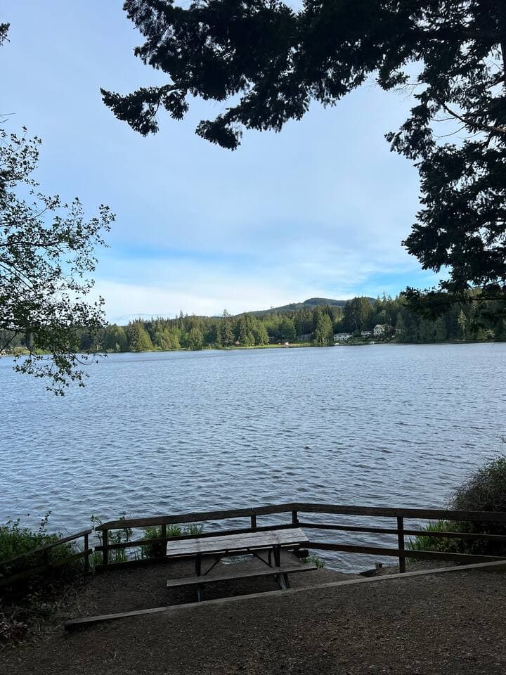 Wildcat Lake.  View is from the County Park.