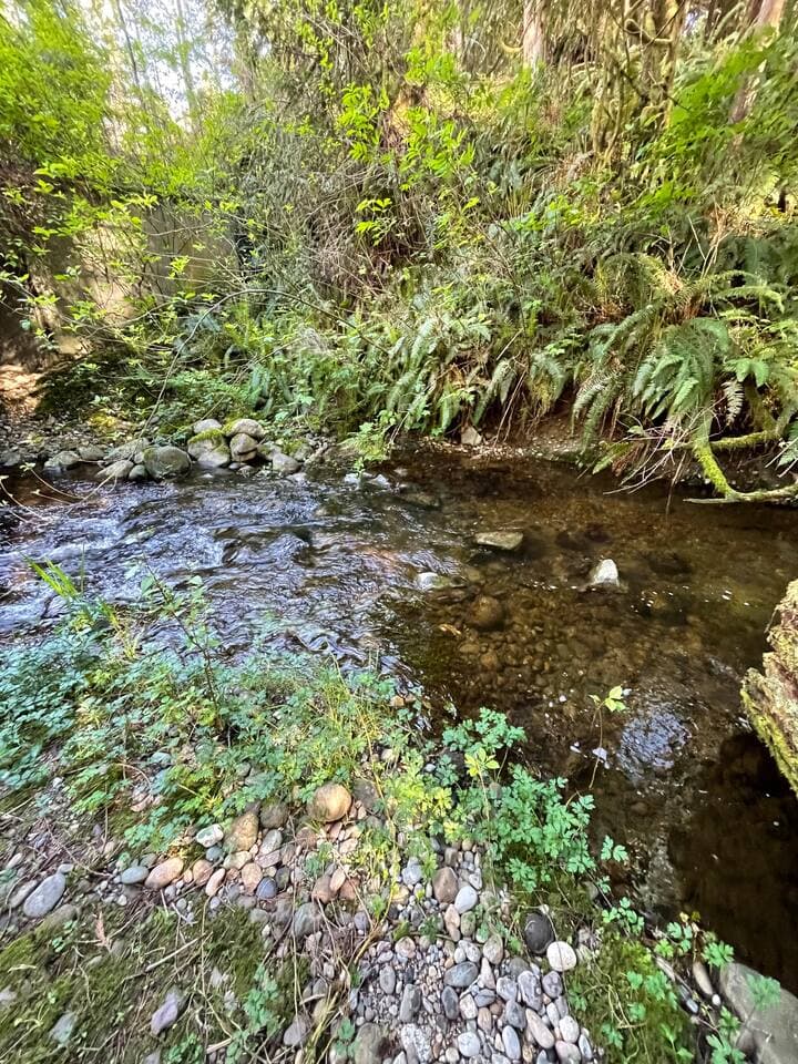 Be sure and spend several hours in the shade by the creek relaxing and watching the water and listening to the sounds of nature. 