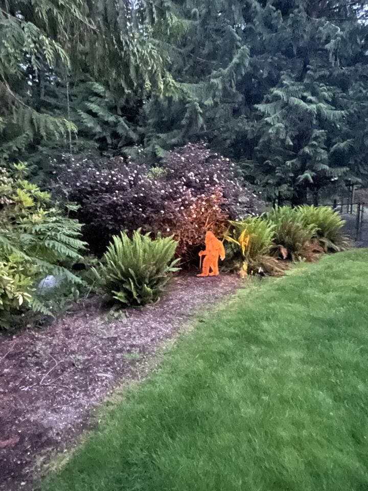 Sasquatch roams these forests.