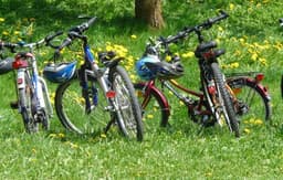 Stunning Bicycle Rental