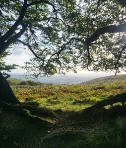 Quantock Hills