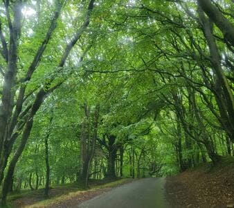 Quantock Hills