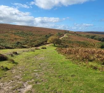 Quantock Hills
