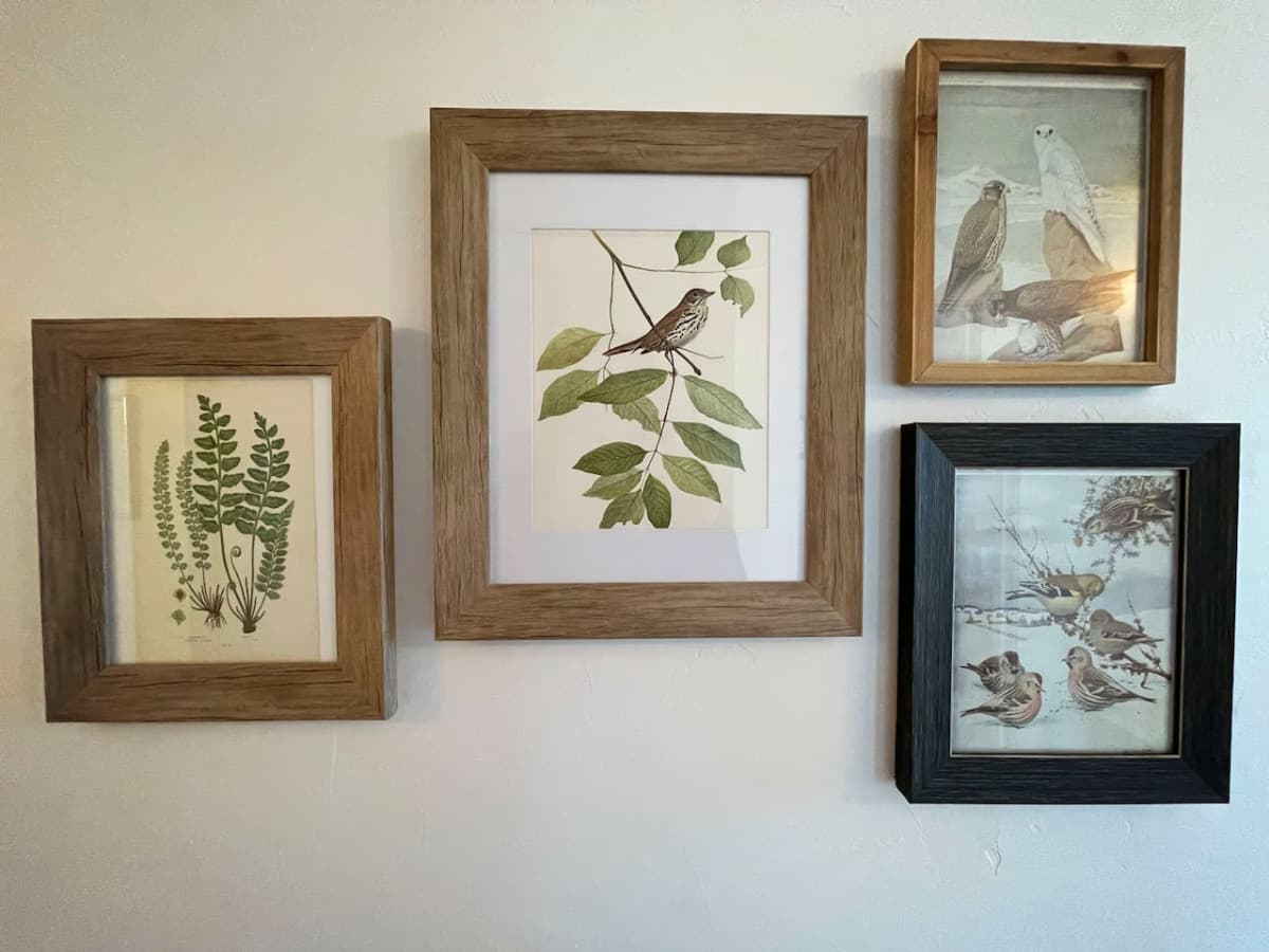 Gallery Image 13