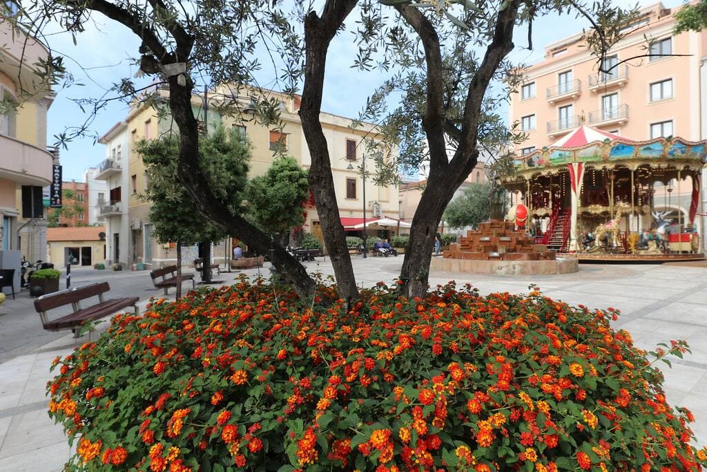 The beautiful town of Olbia