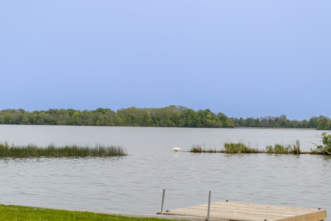 Large Image