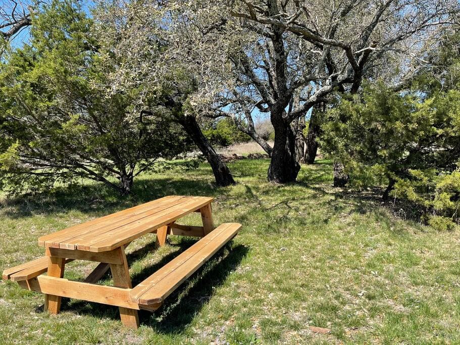 Second Picnic Table
