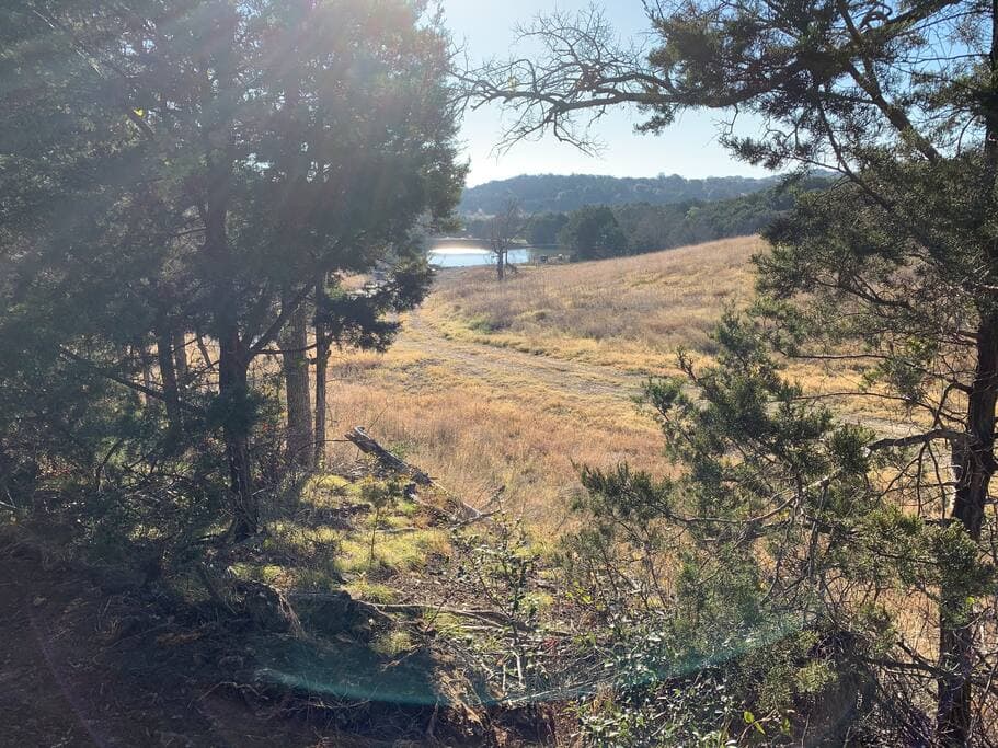 Lake Godstone Inspiration Cabin Trail