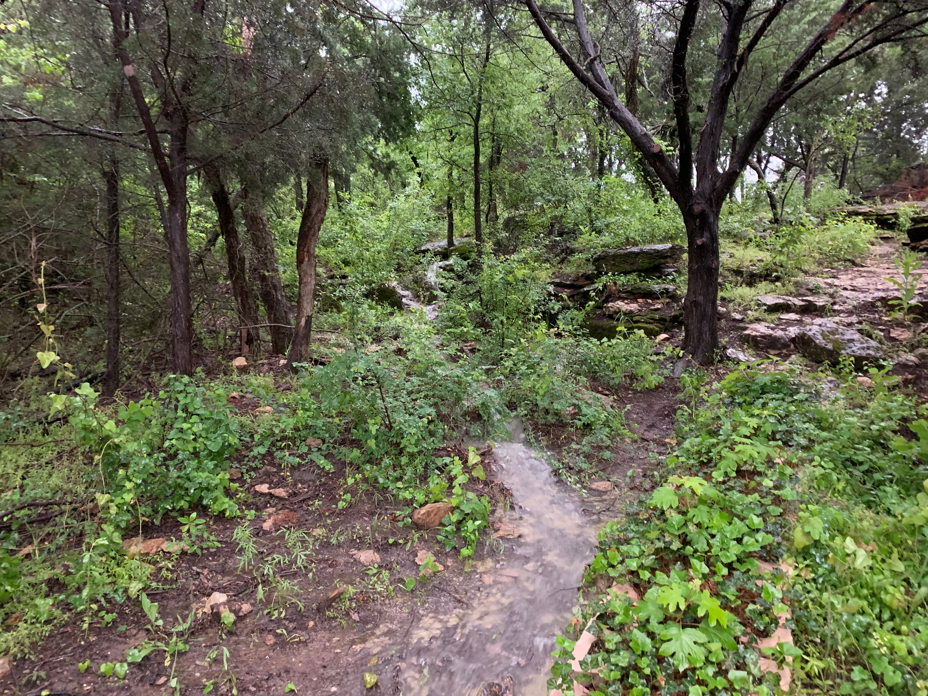 Lake Godstone Mountain Bike Trails