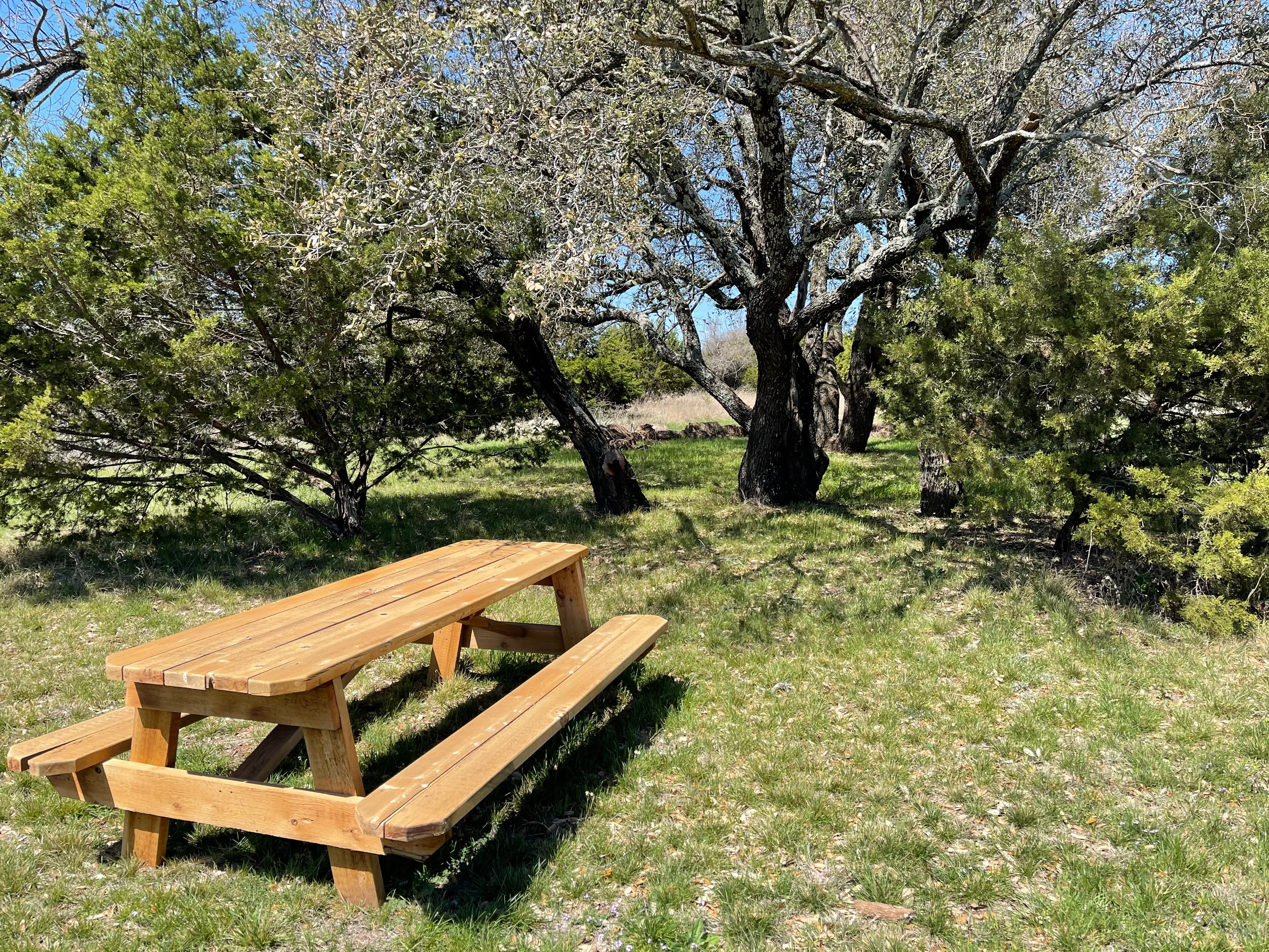 Lake Godstone Refuge Group Campground Picnic Tables