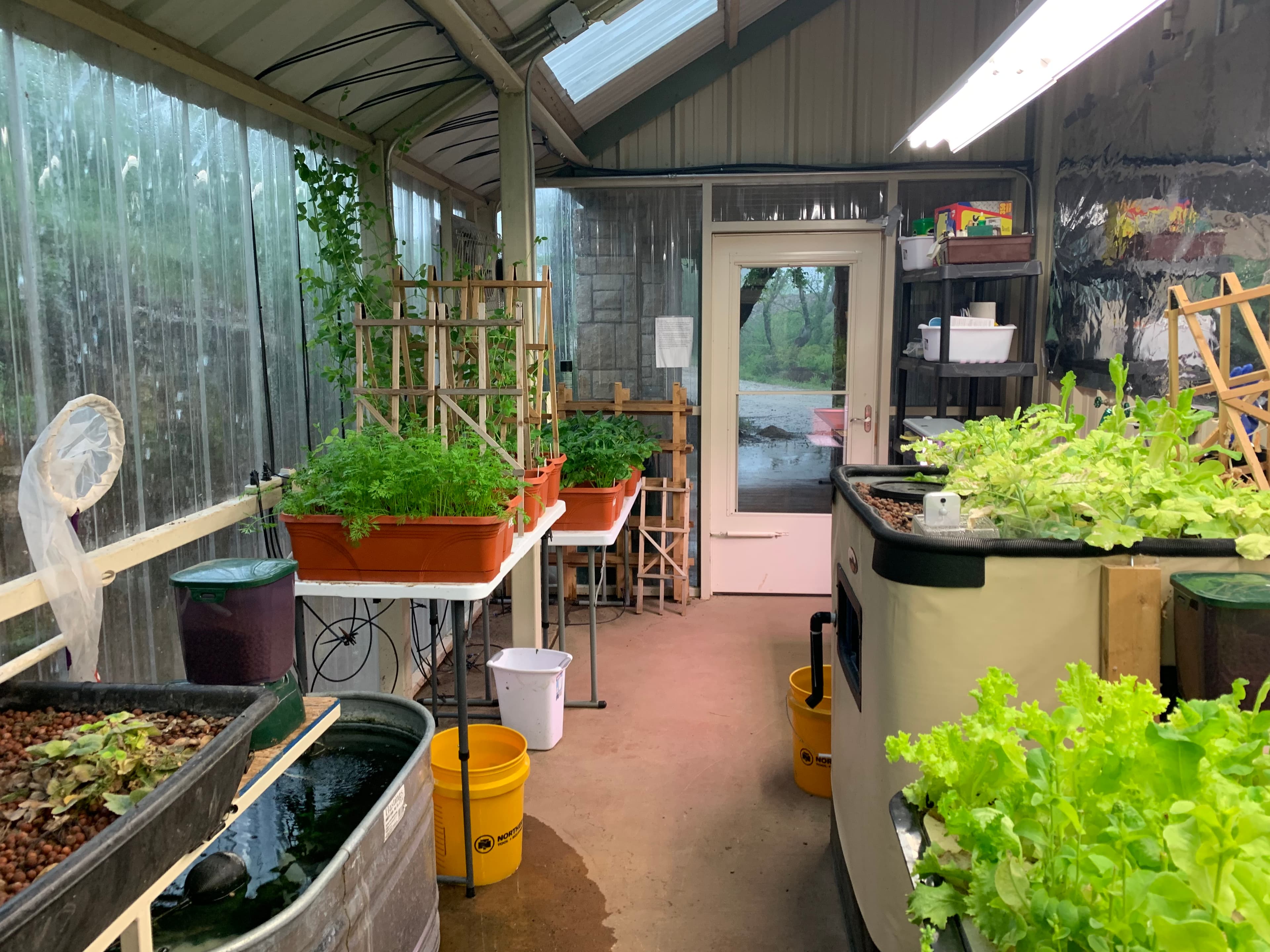 Lake Godstone Lodge greenhouse