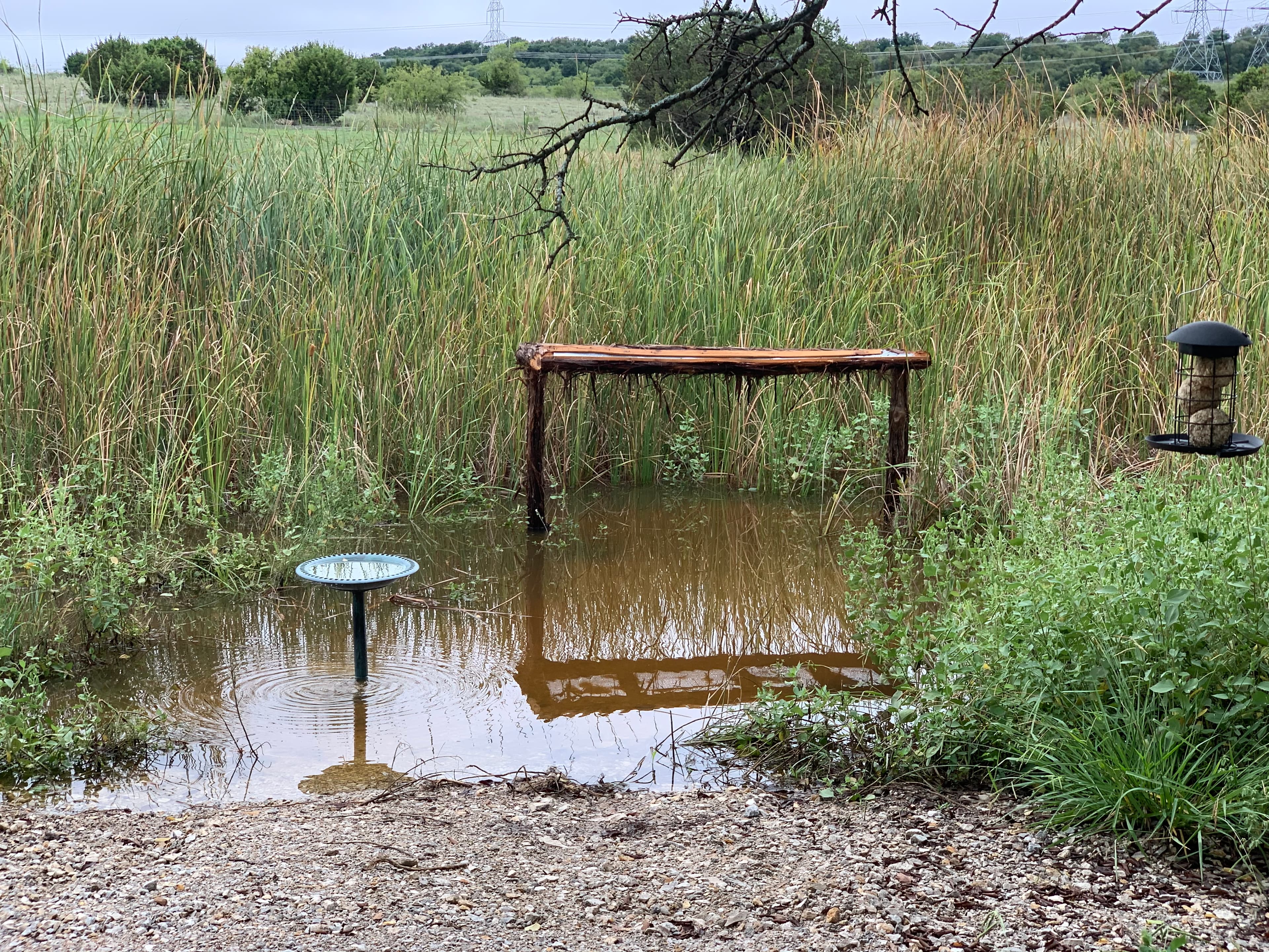 Lake Godstone Bird platform feeder
