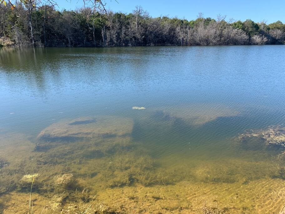 Lake Godstone Clear lake