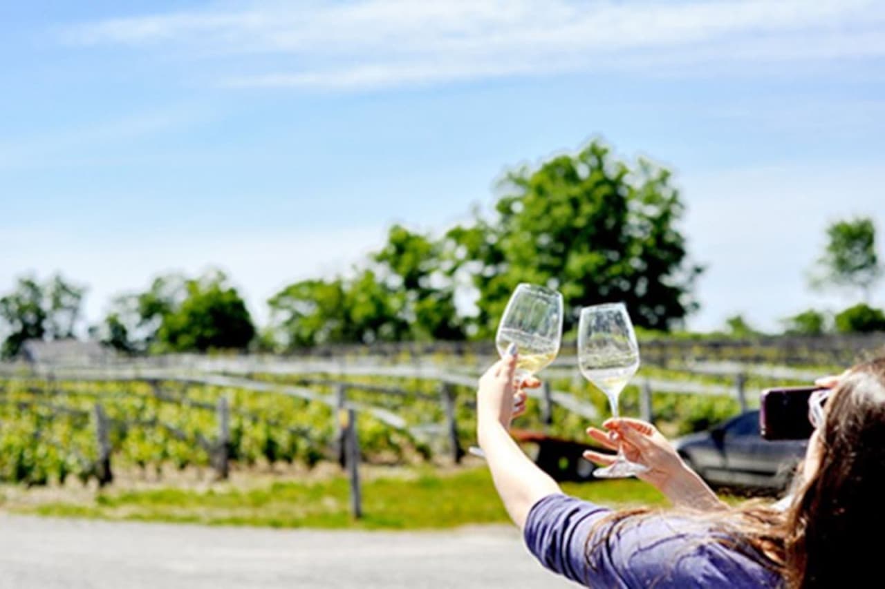 PEC is known for its many wineries and orchards. Hygge House is close to many of them!
