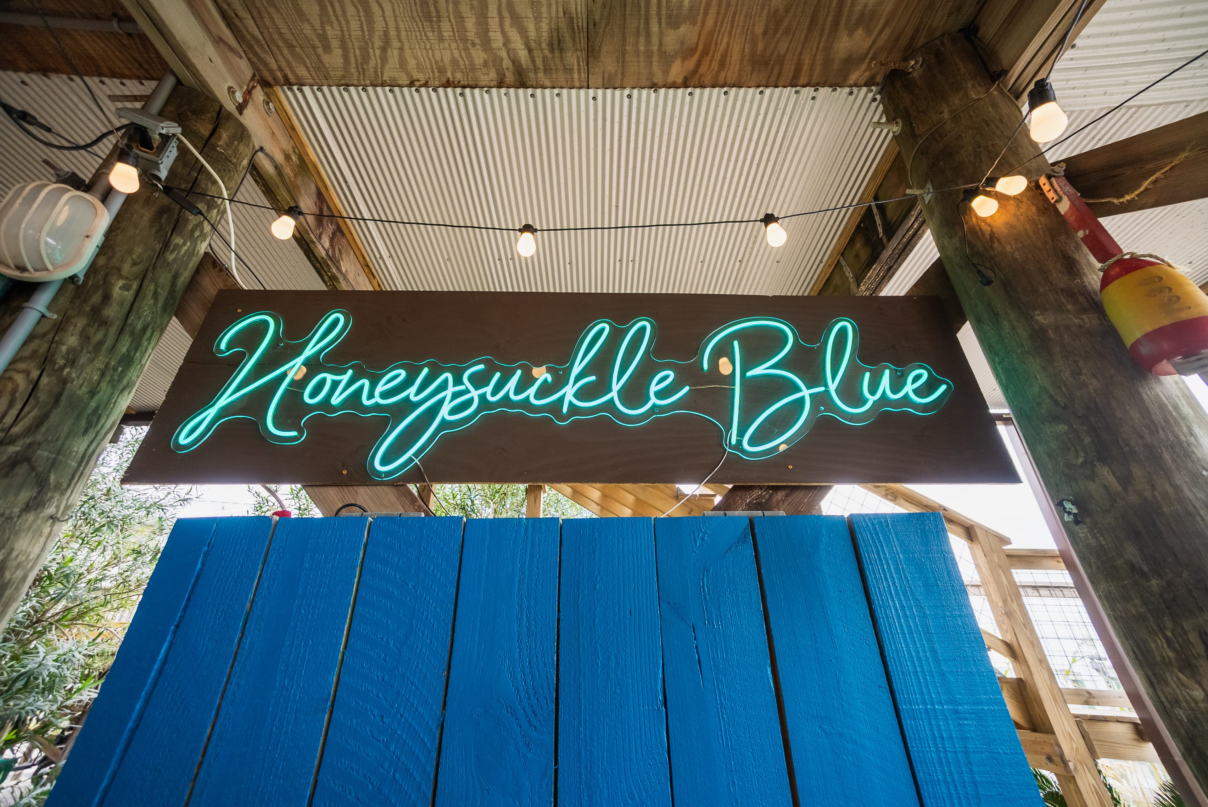 Honeysuckle blue