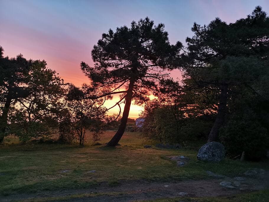lever_de_soleil