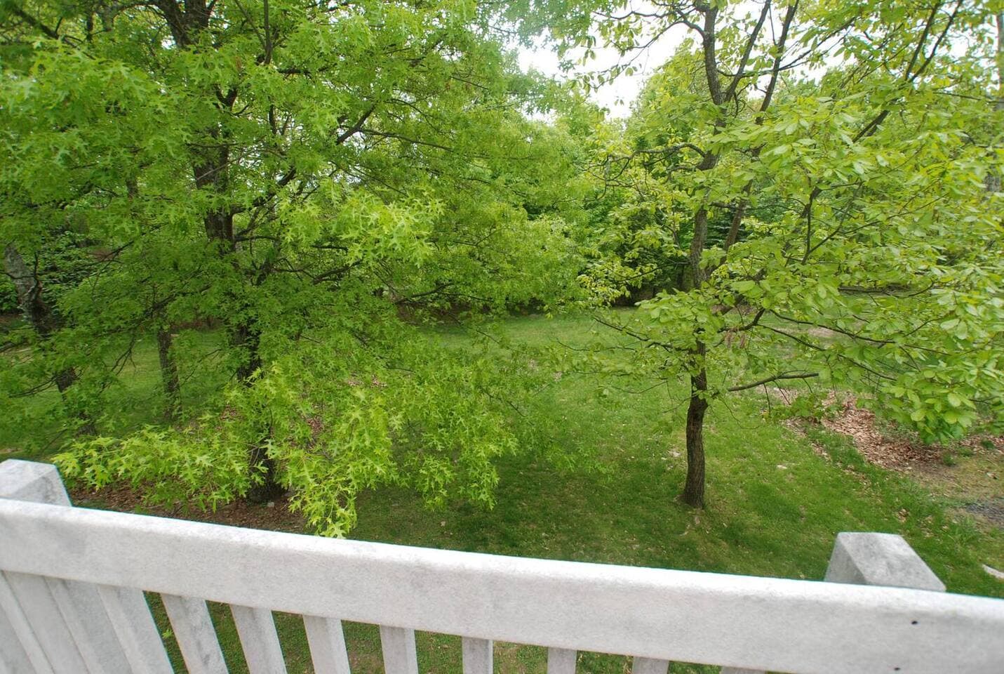 Gallery Image 43