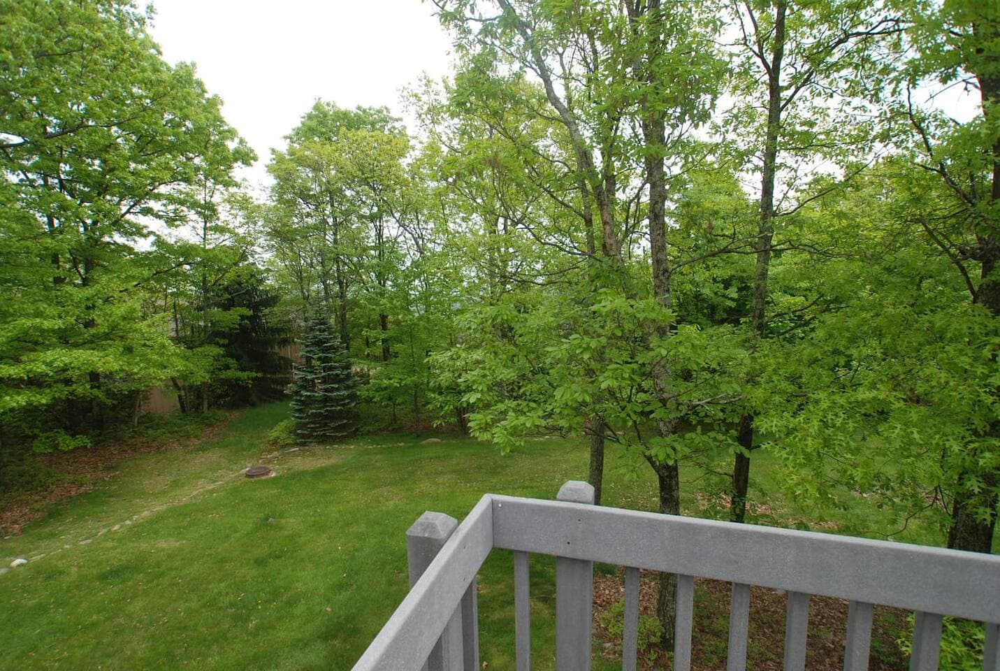 Gallery Image 53