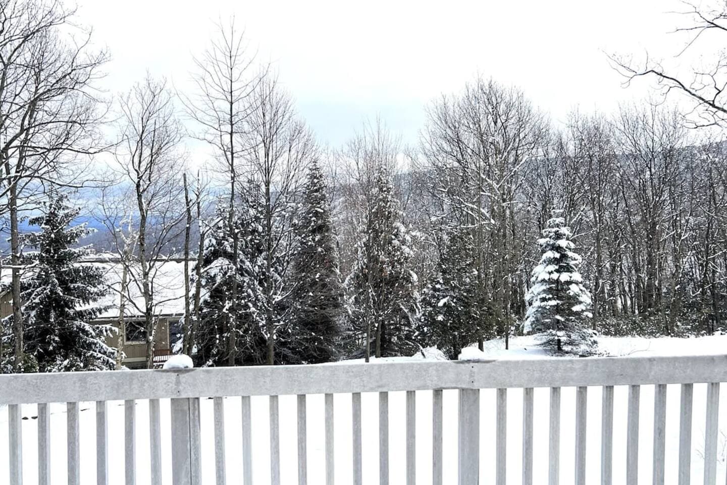 Winter wonderland