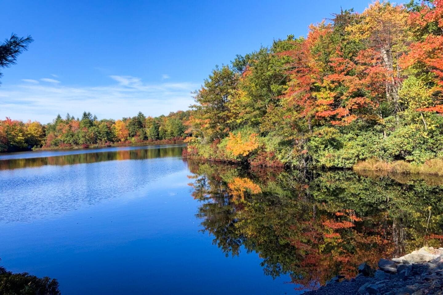 Stunning Lakefront, 1 King, 3 Queens, 3 Double