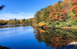 Stunning Lakefront, 1 King, 3 Queens, 3 Double