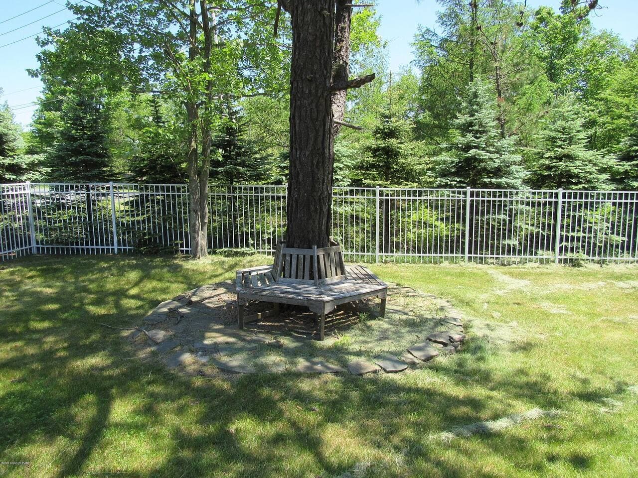 Front yard
