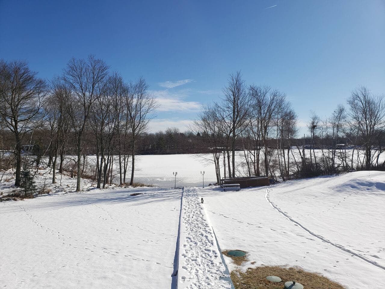 back yard