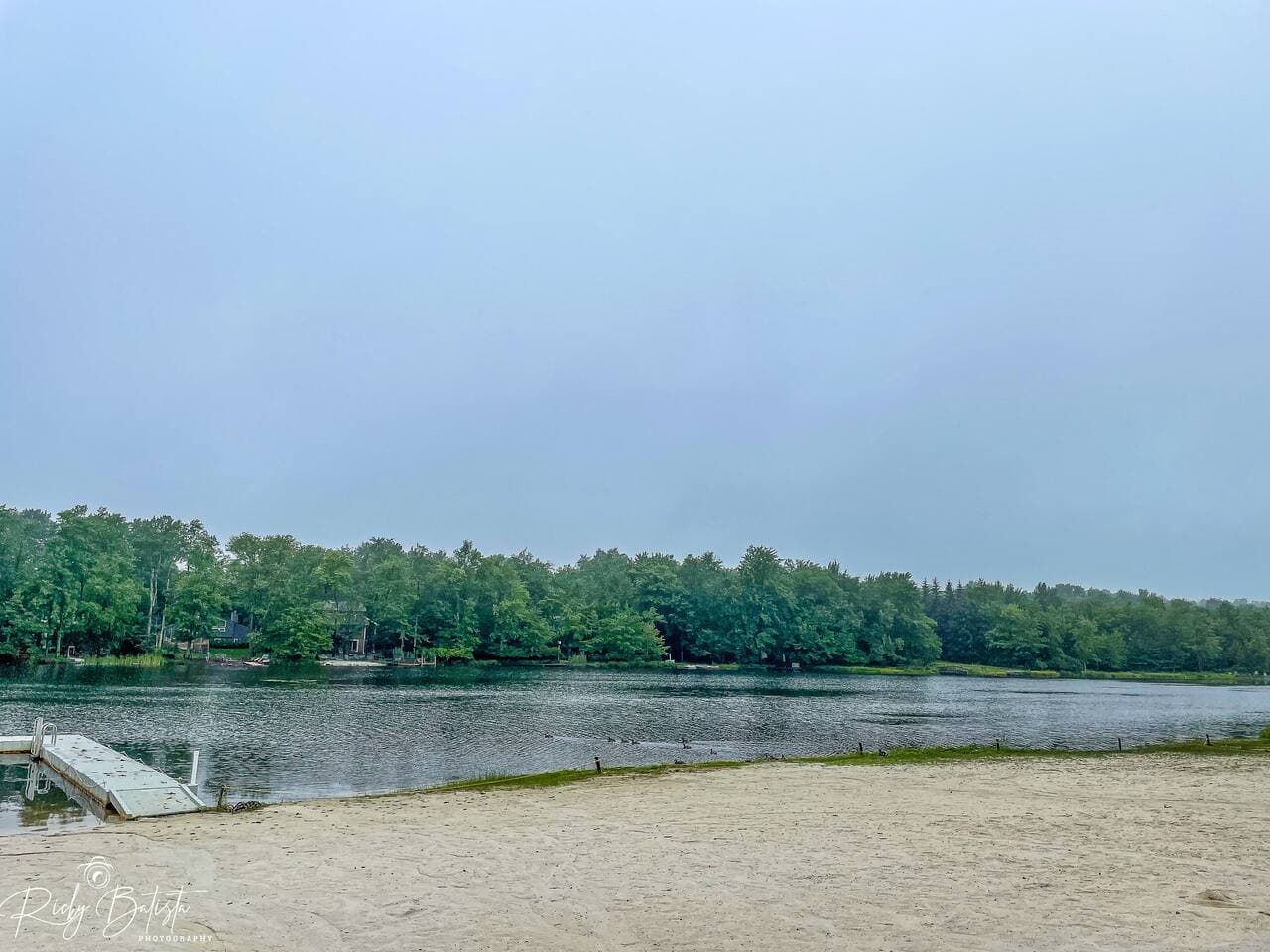 Gallery Image 57