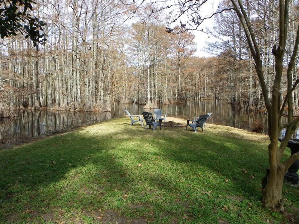 Gallery Image 54