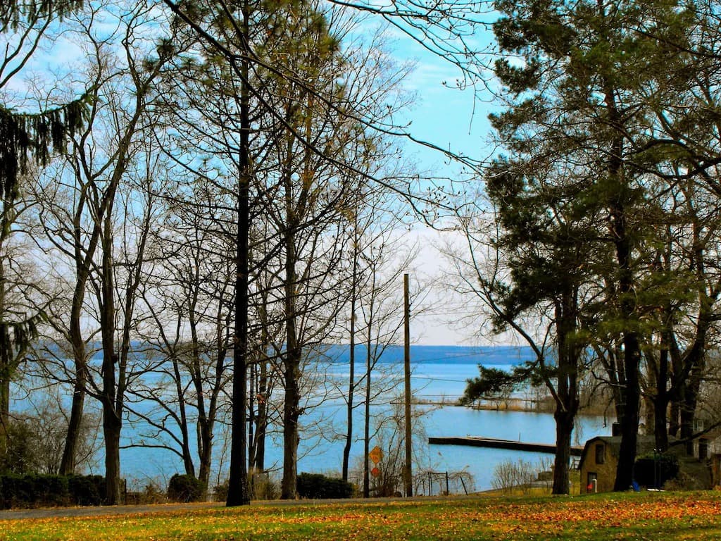 WF - lake view_9_11zon