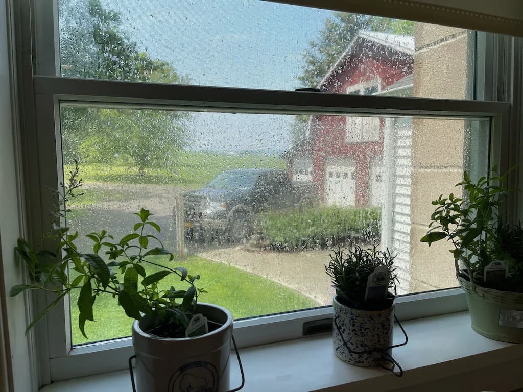 Farm - view towards barn from kitchen_36_11zon