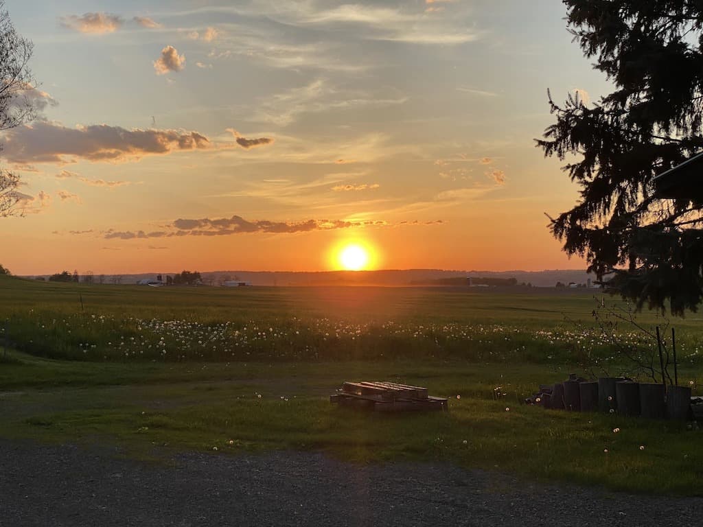 Farm - field view 2_2_11zon
