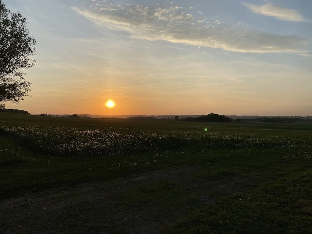 Farm - field view_3_11zon