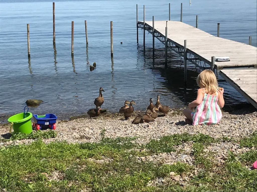 37 - Charlotte with ducks_11_11zon