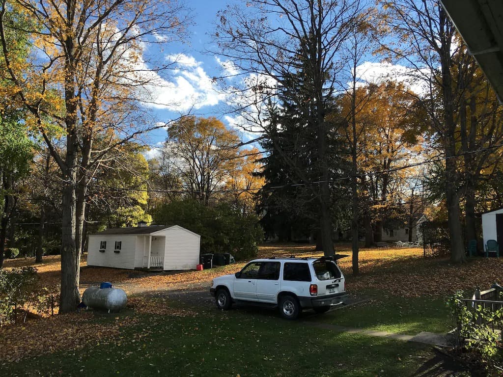 37 - Fall yard shot_17_11zon