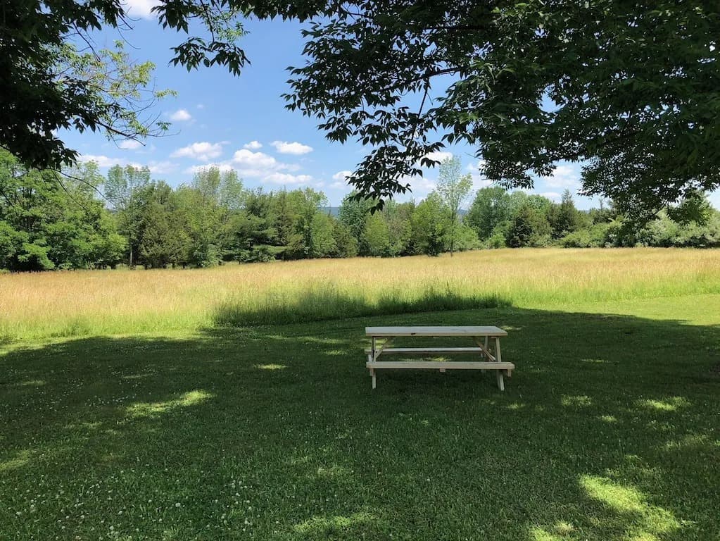 Willow - Picnic Table_24_11zon