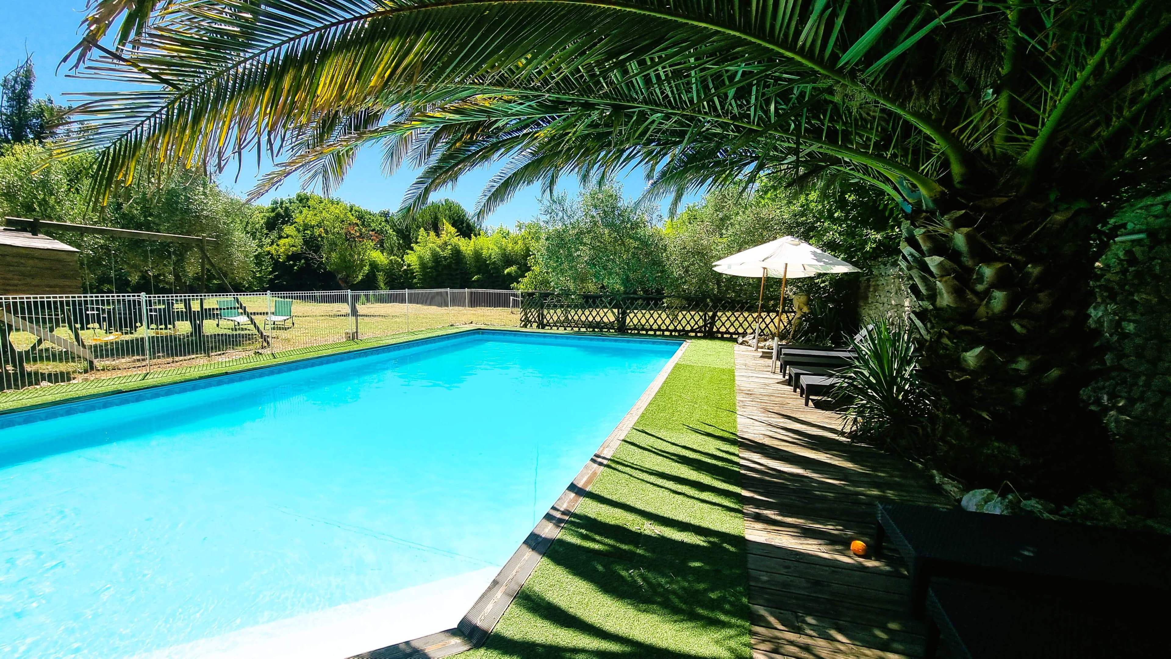 Sunny swimming pool in a green setting