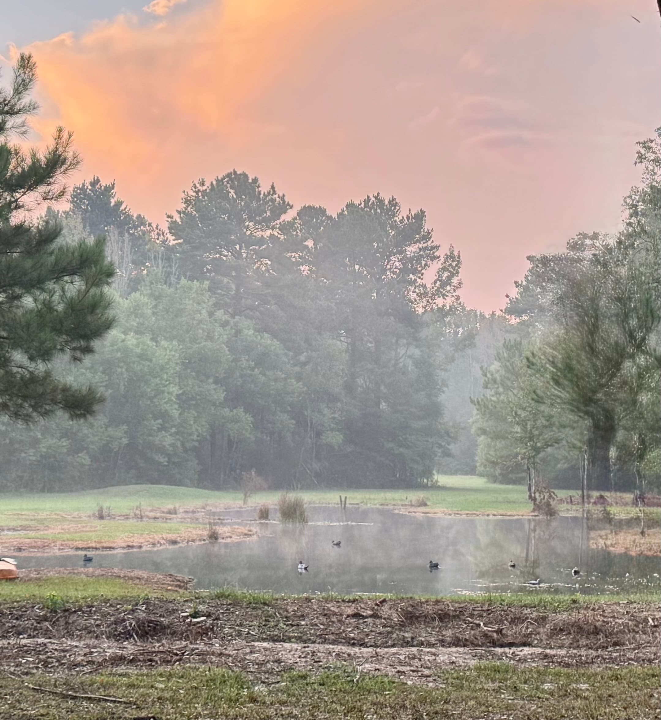 Evenings in the country are special 