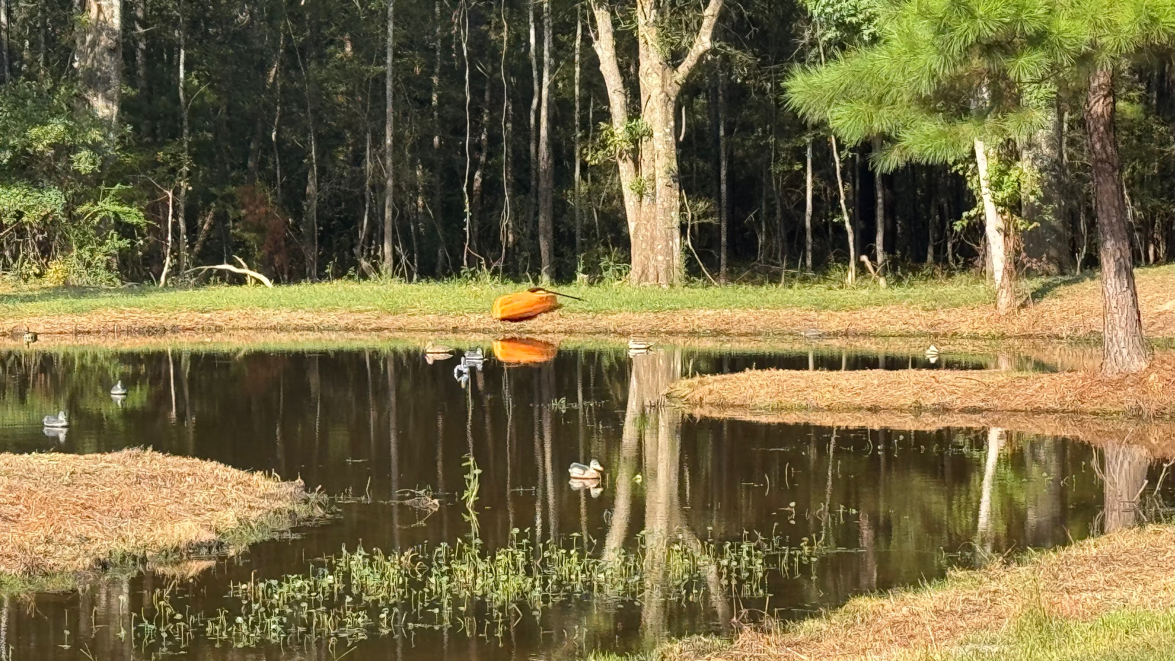 Kayak anyone?