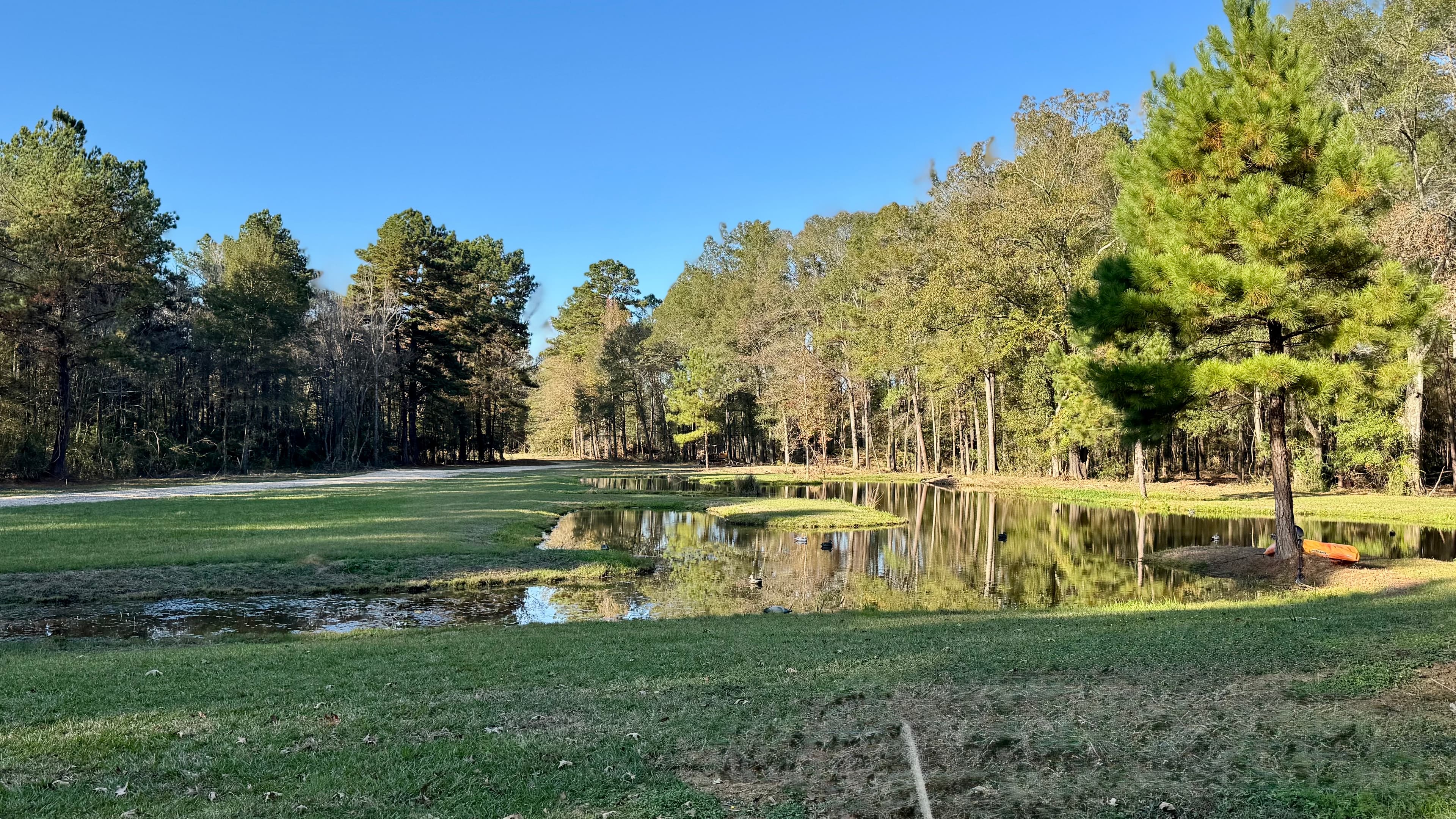 One of our ponds, perfect for watching wildlife 