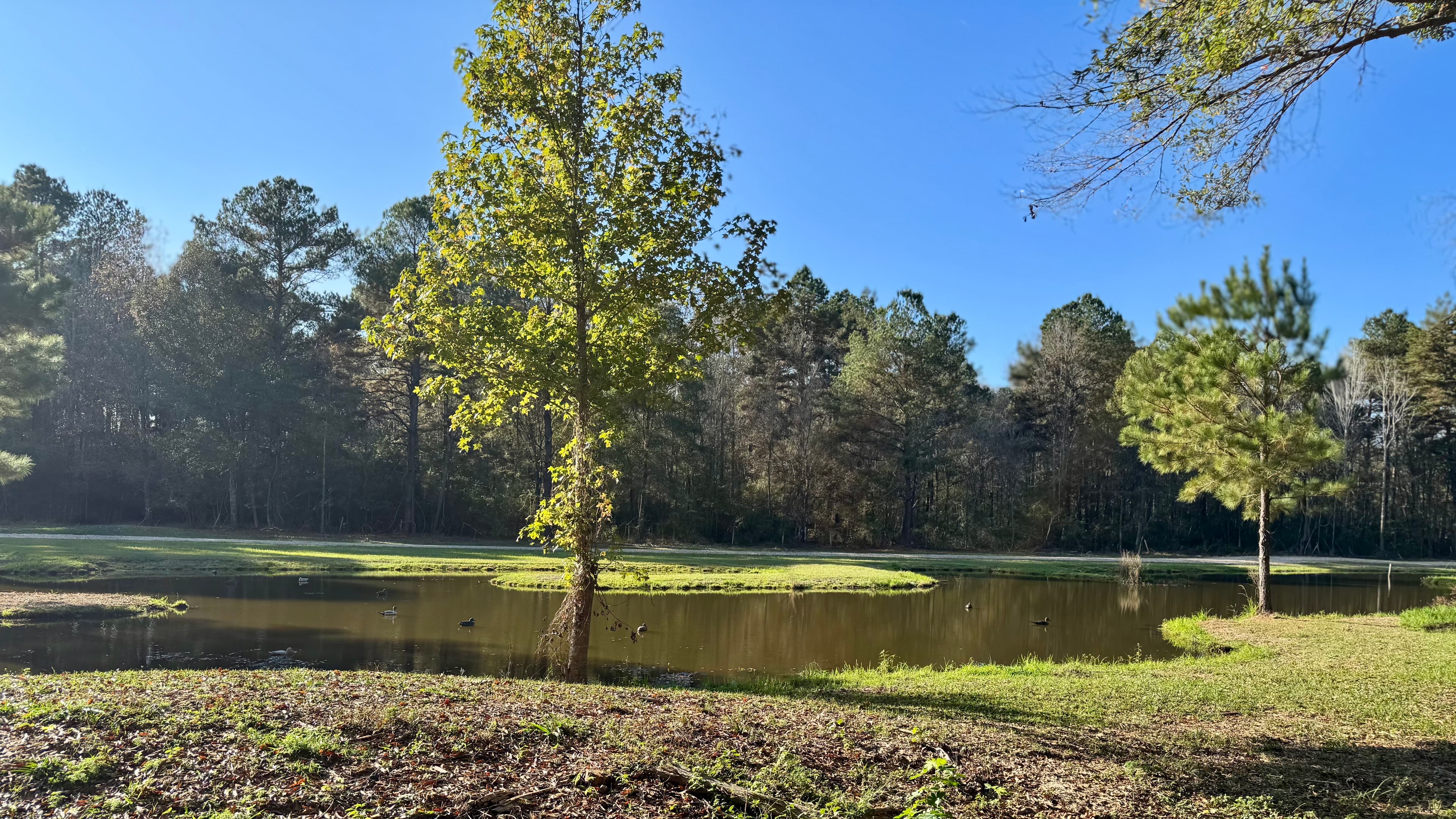  Beautiful pond view from the back porch