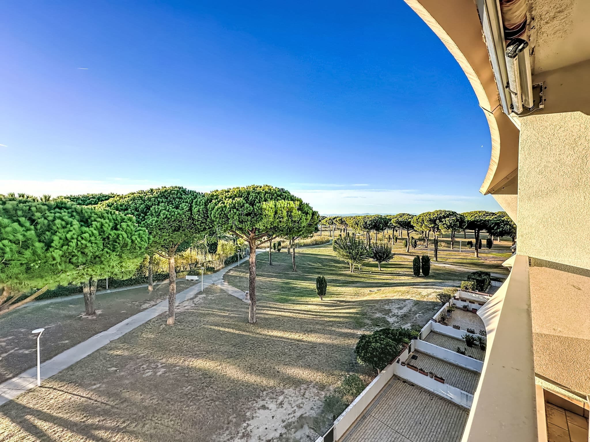 View