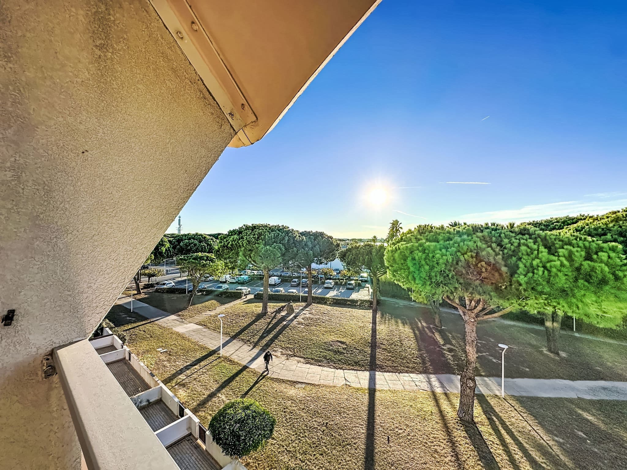 View