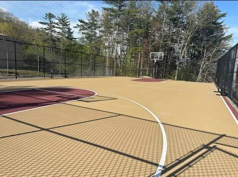 Basketball Court