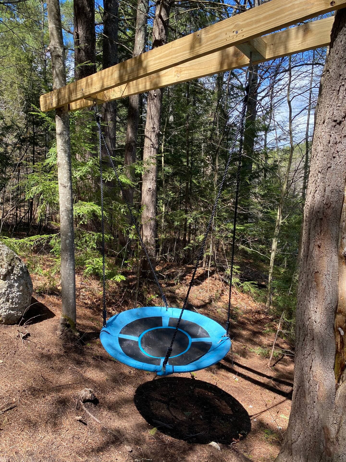 Disk Swing