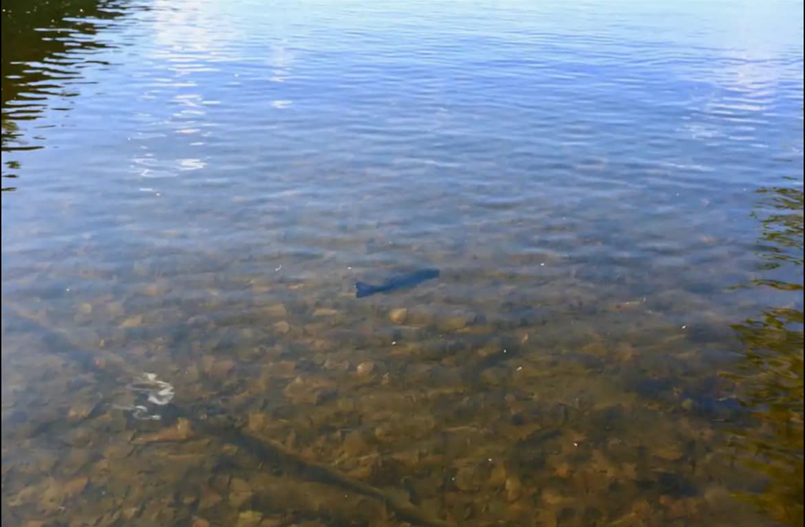 Crystal Clear Water